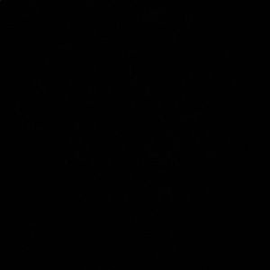 Meet your Posher, Joselyn